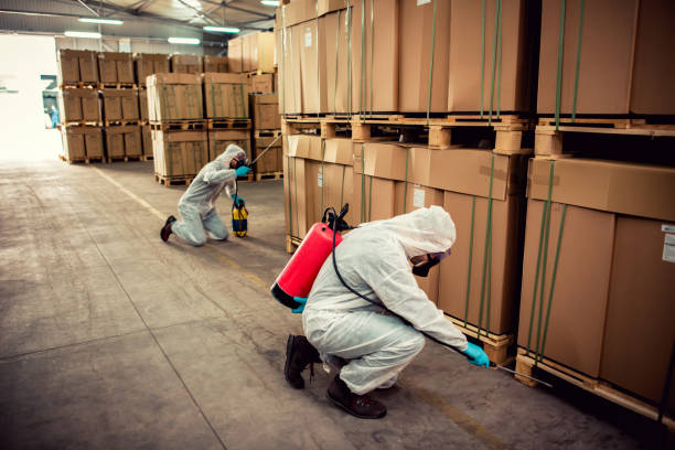 Professional Pest Control in Bessemer, AL