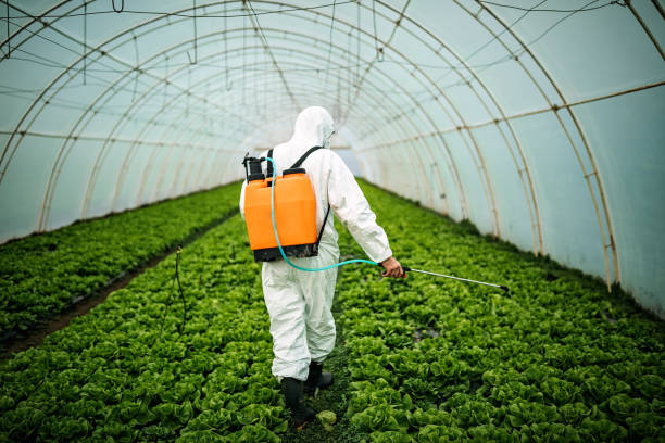 Best Affordable Pest Control Services  in Bessemer, AL