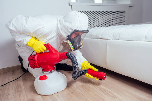 Best Affordable Pest Control Services  in Bessemer, AL