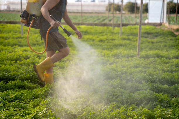 Pest Prevention Services in Bessemer, AL