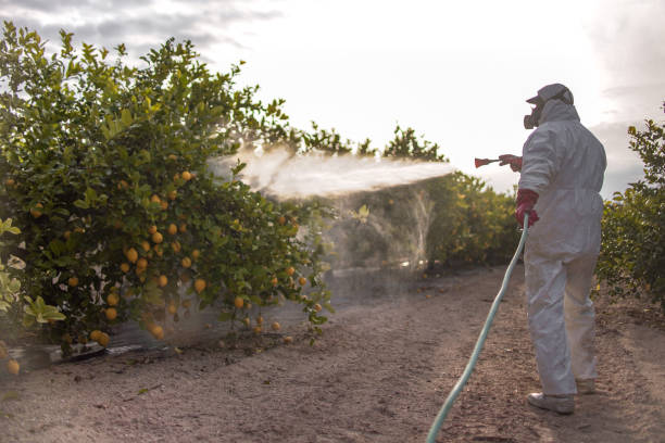 Best Best Pest Control Companies  in Bessemer, AL