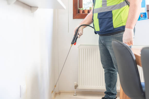 Best Pest Control Treatment  in Bessemer, AL