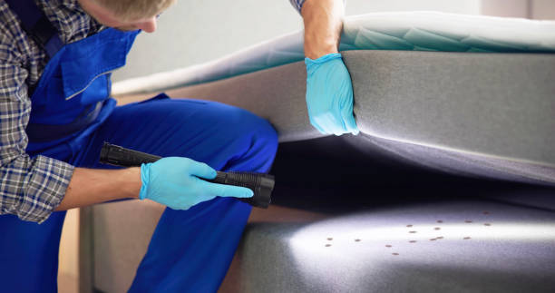 Best Residential Pest Control  in Bessemer, AL