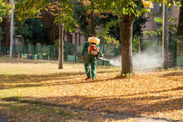 Best Pest Control Near Me  in Bessemer, AL