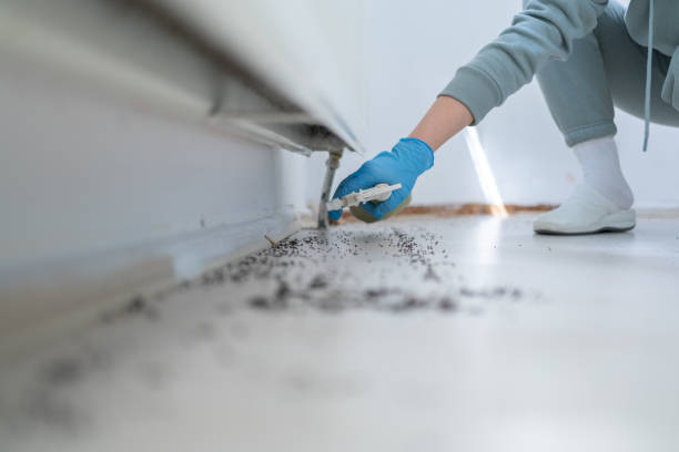 Best Local Pest Control Services  in Bessemer, AL