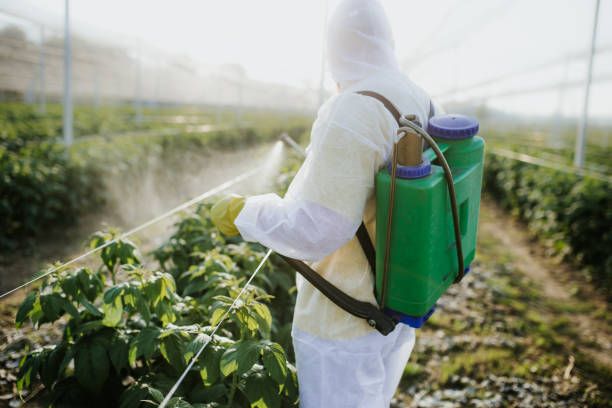 Best Pest Control Near Me in Bessemer, AL